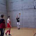 vol_lyc-252