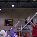 vol_lyc-295