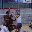 vol_lyc-383