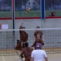 vol_lyc-385