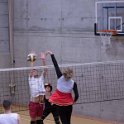 vol_lyc-396