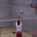 vol_lyc-430