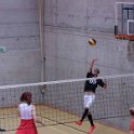 vol_lyc-468