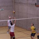 vol_lyc-478