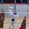 vol_lyc-484