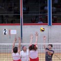 vol_lyc-532